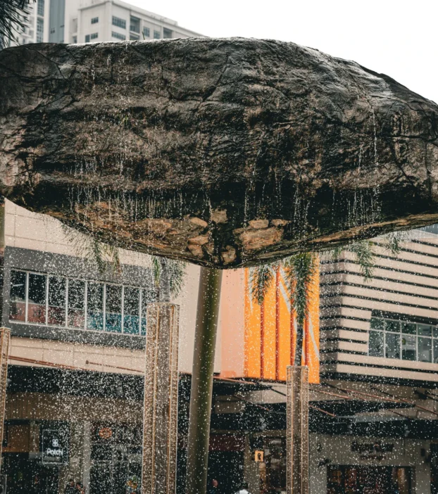 628451497_25893388633684606_1734975923296630954_n